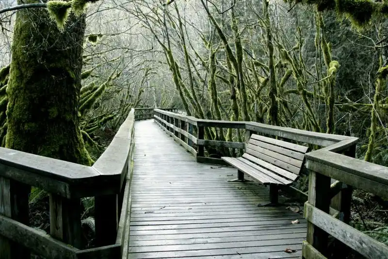 Wildwood Recreation Site