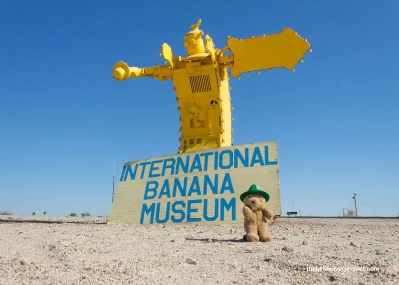 The International Banana Museum, California