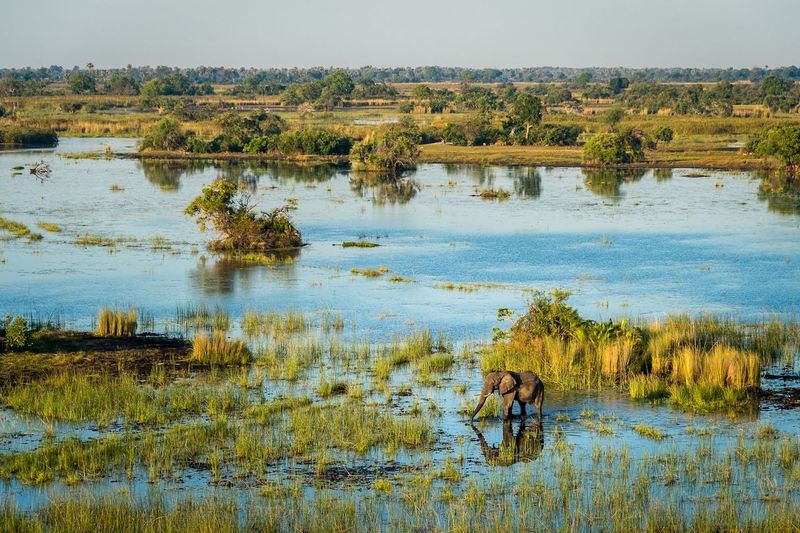 Okavango Delta, Botswana