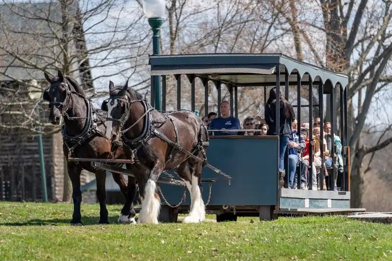 Kentucky Horse Park