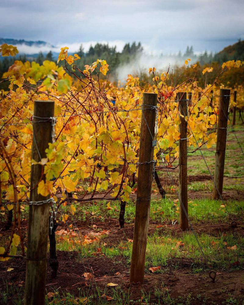 Walla Walla Valley, Washington