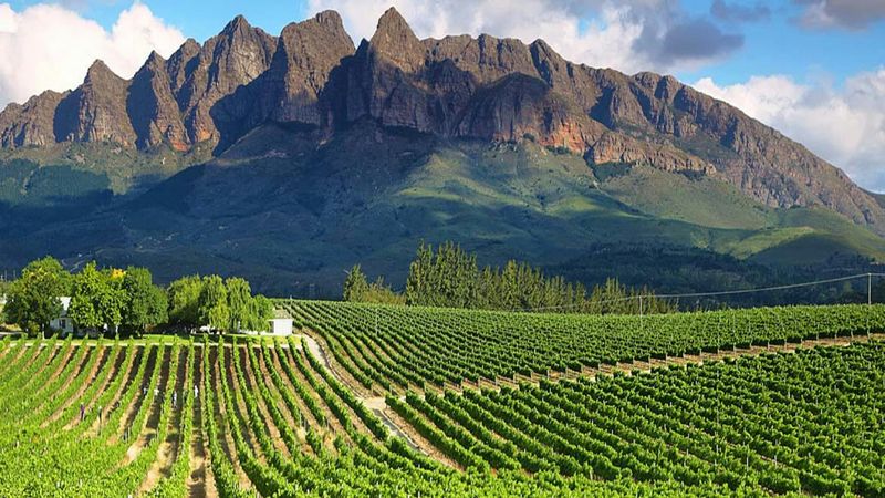 Cape Winelands, South Africa