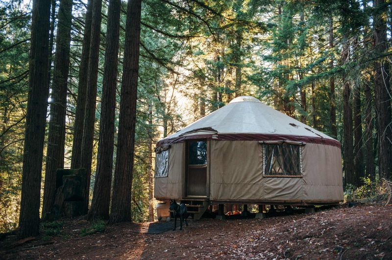 Alexandria Forest Retreat