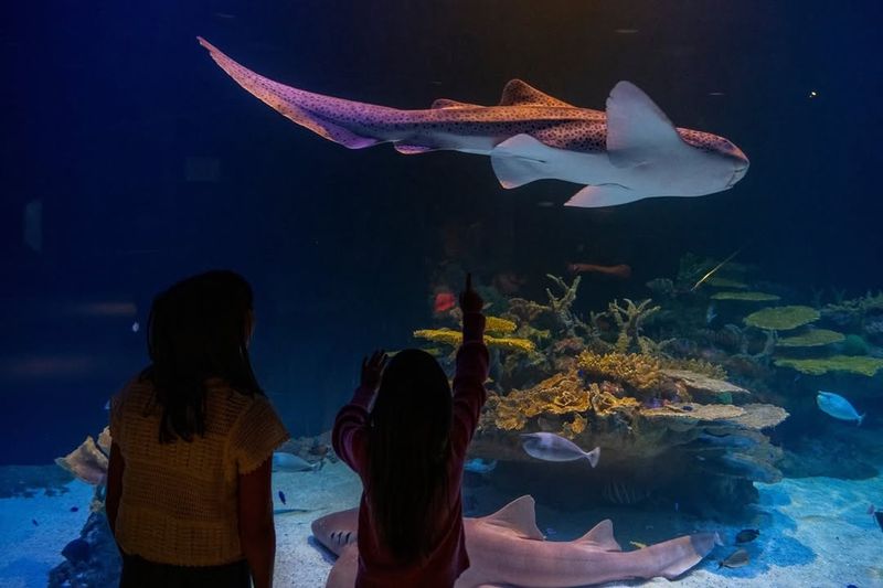 Point Defiance Zoo & Aquarium