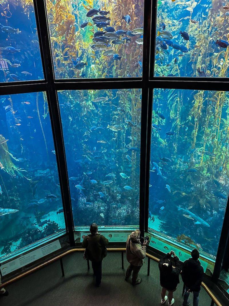 Monterey Bay Aquarium