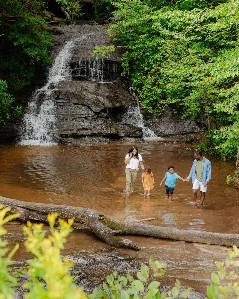 The Picnic Spot by the Mountain Creek