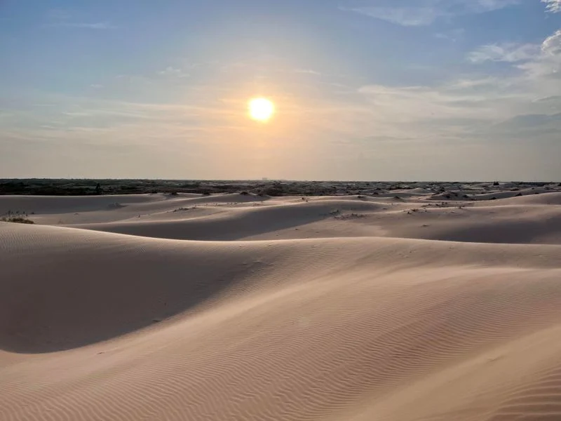 Monahans Sandhills State Park