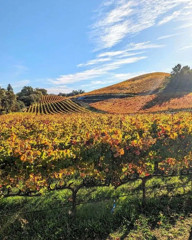 Sonoma County, California