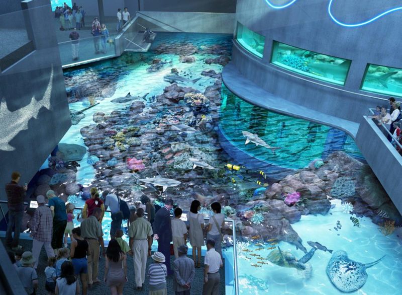 National Aquarium
