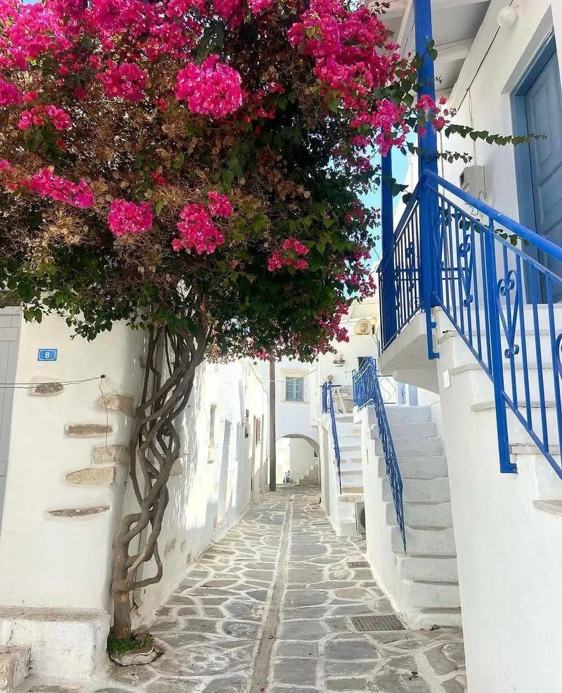 Paros