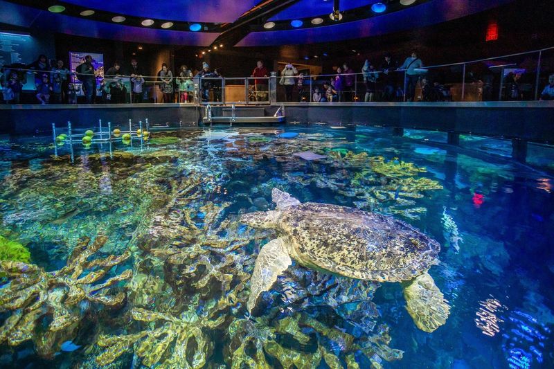 New England Aquarium