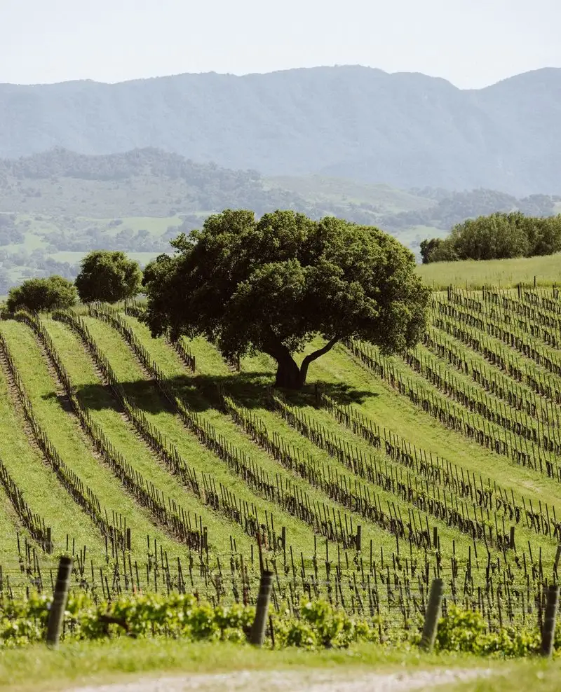 Santa Ynez Valley, California