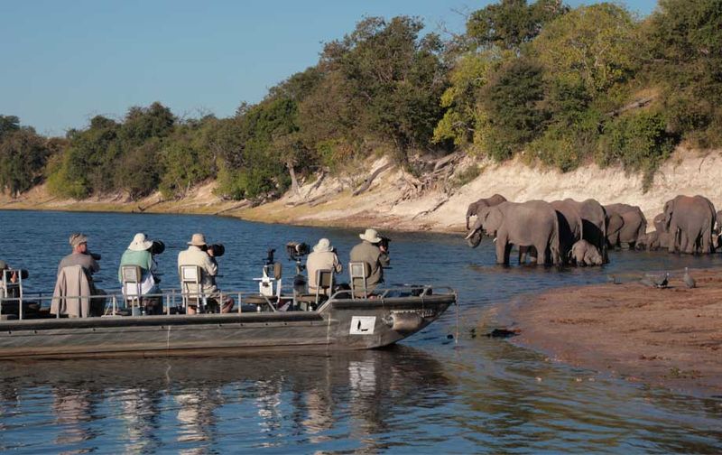 Chobe National Park, Botswana