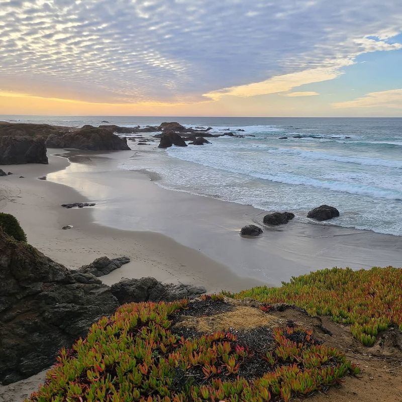MacKerricher State Park