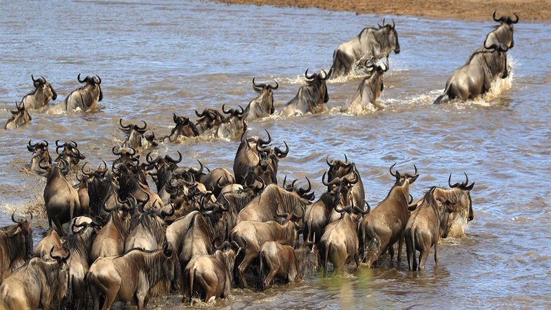 Serengeti, Tanzania