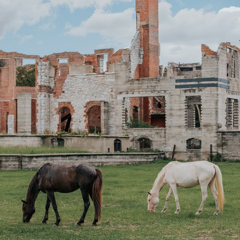 Cumberland Island National Seashore
