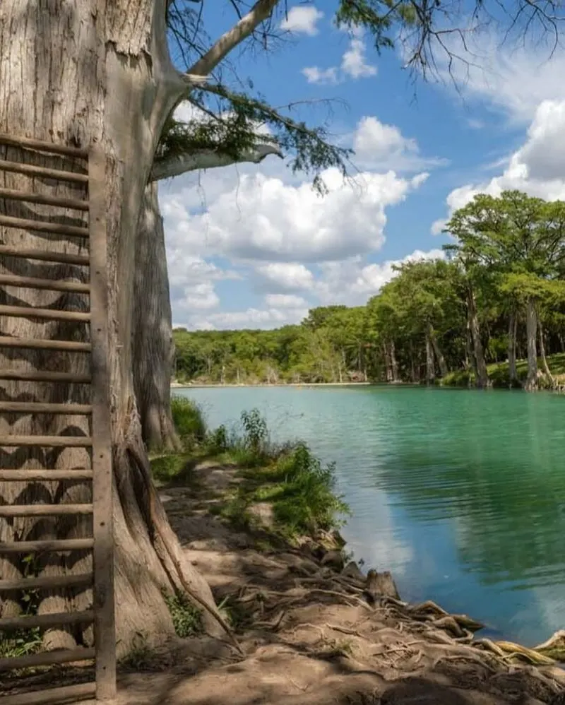 Cypress Creek Nature Trail
