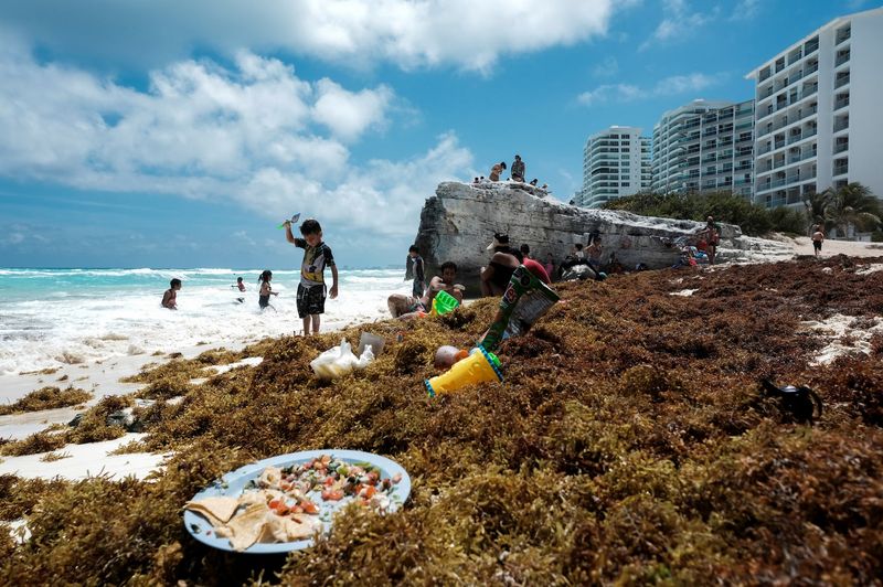 Environmental Degradation