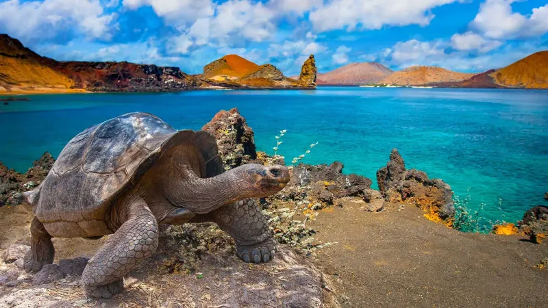 Galápagos Islands, Ecuador