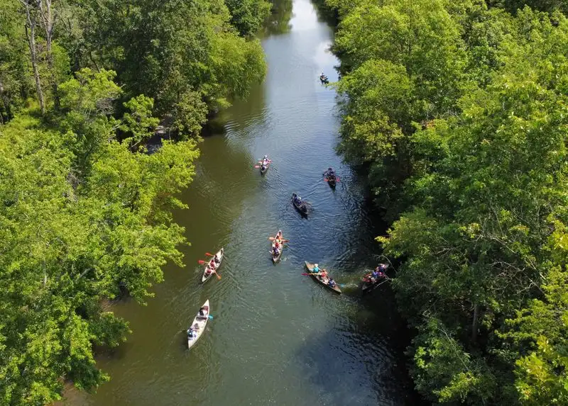 Engage in Eco-Friendly Practices