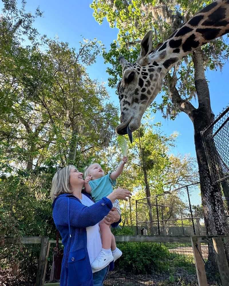 See live animals at Central Florida Zoo & Botanical Gardens