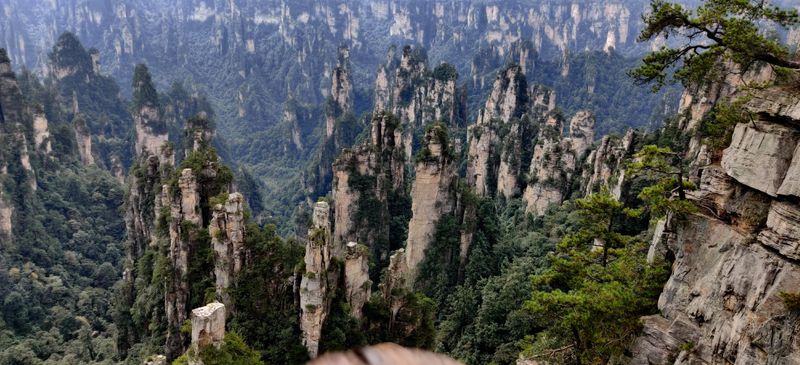 Zhangjiajie National Forest Park, China