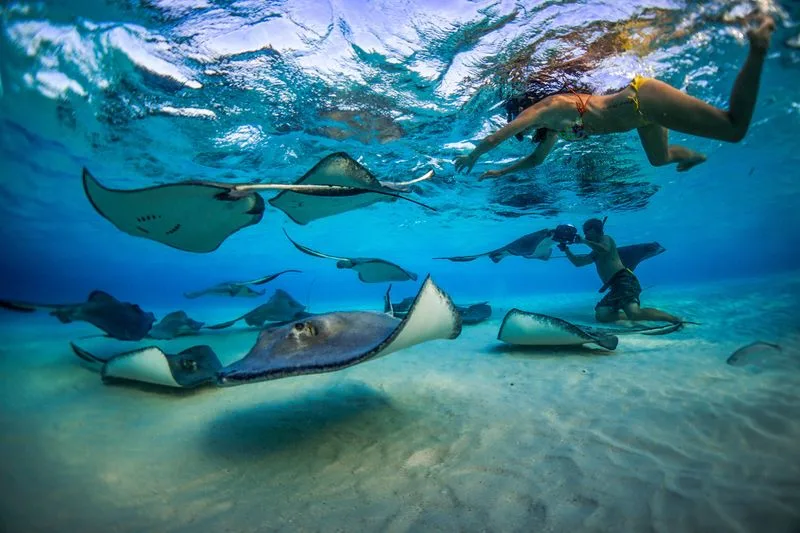 Cayman Islands