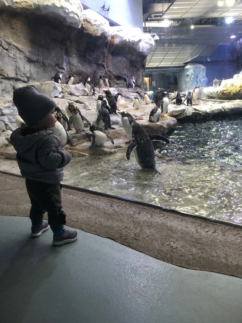 Visit Detroit Zoo