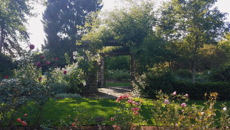 The Woodland Park Rose Garden