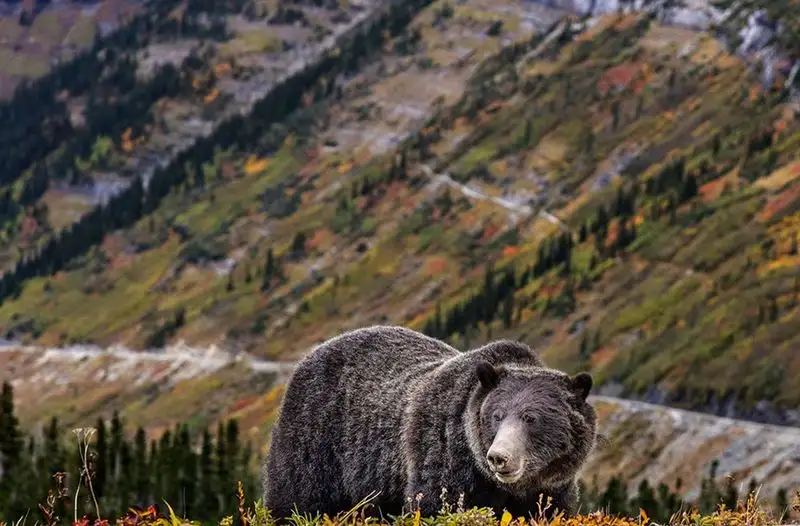 Glacier National Park