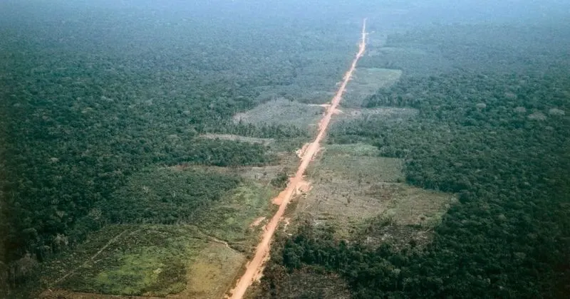 Trans-Amazonian Highway, Brazil