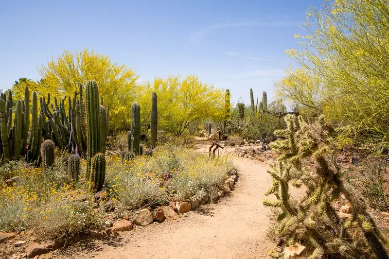 Arizona-Sonora Desert Museum