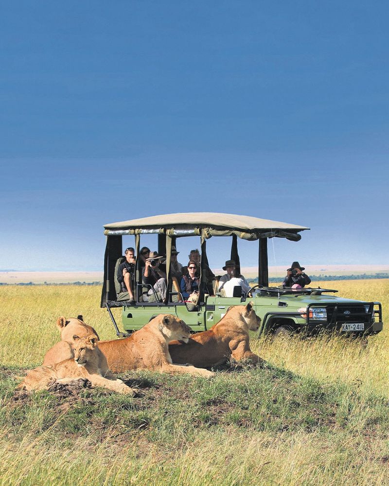 African Safari in South Africa