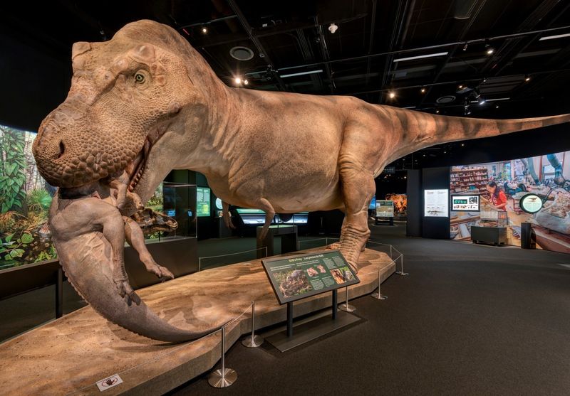 St. Louis Science Center, MO