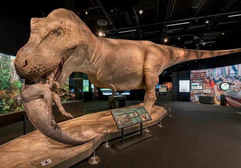 St. Louis Science Center, MO