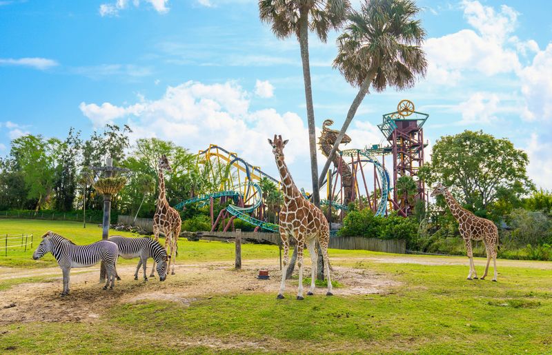 Busch Gardens Tampa Bay