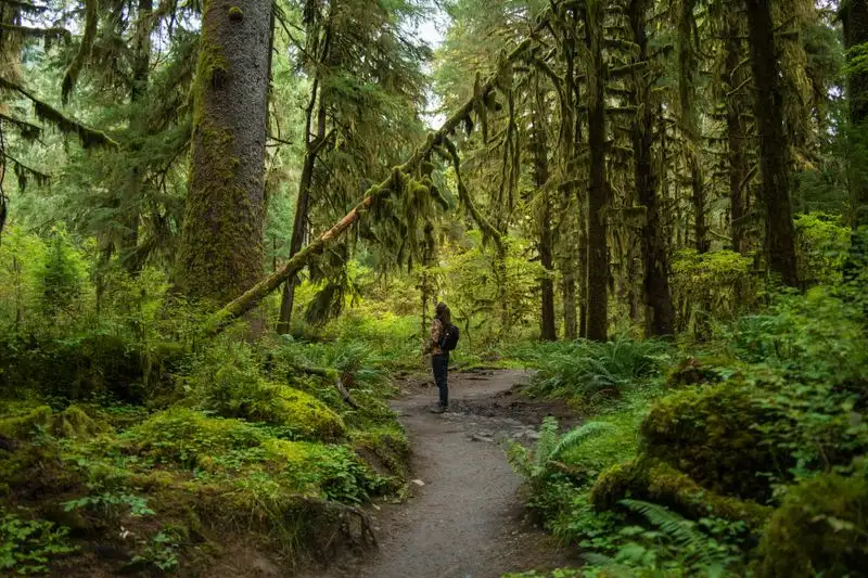 Olympic National Park