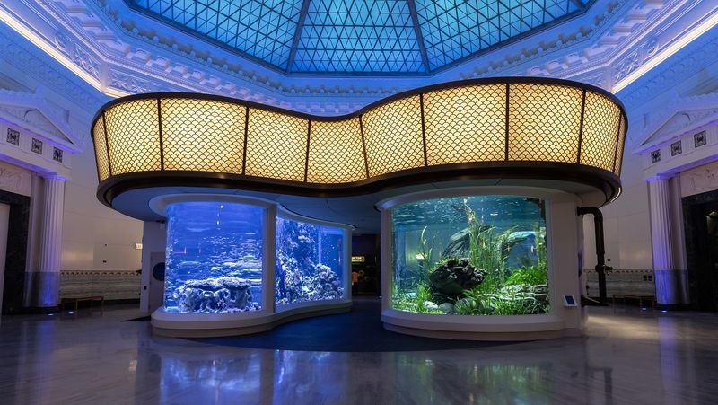 Shedd Aquarium