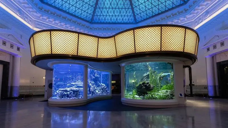 Shedd Aquarium