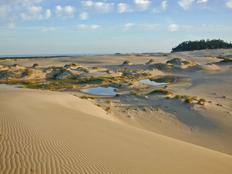 Oregon Dunes National Recreation Area