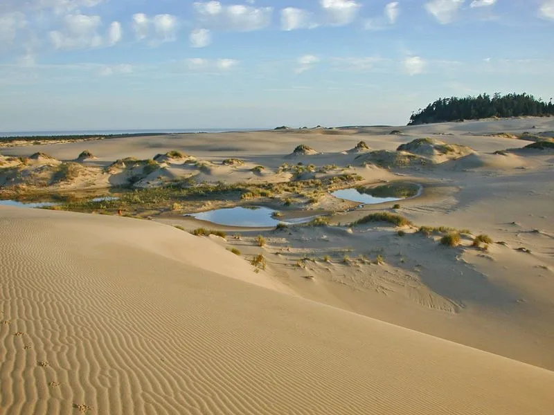 Oregon Dunes National Recreation Area