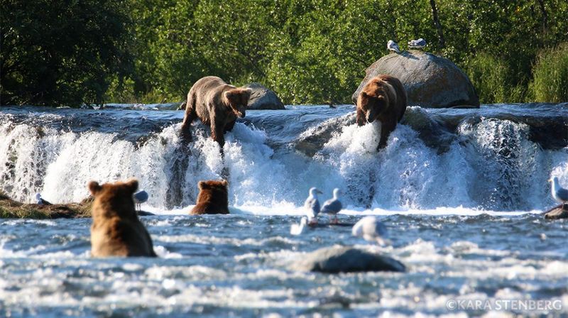 Katmai National Park
