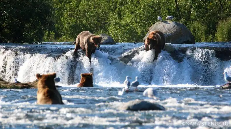 Katmai National Park