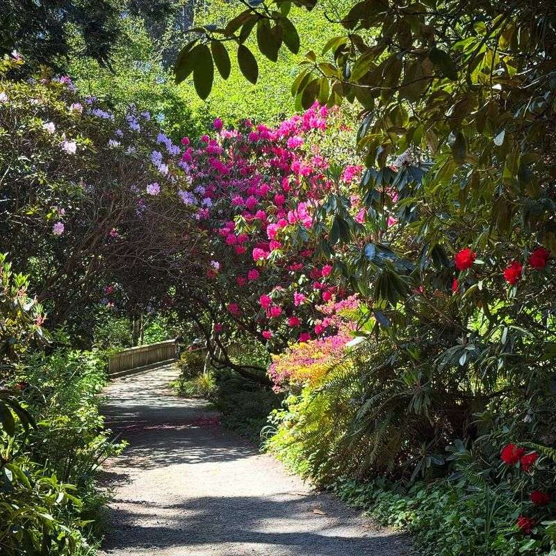 Mendocino Coast Botanical Gardens