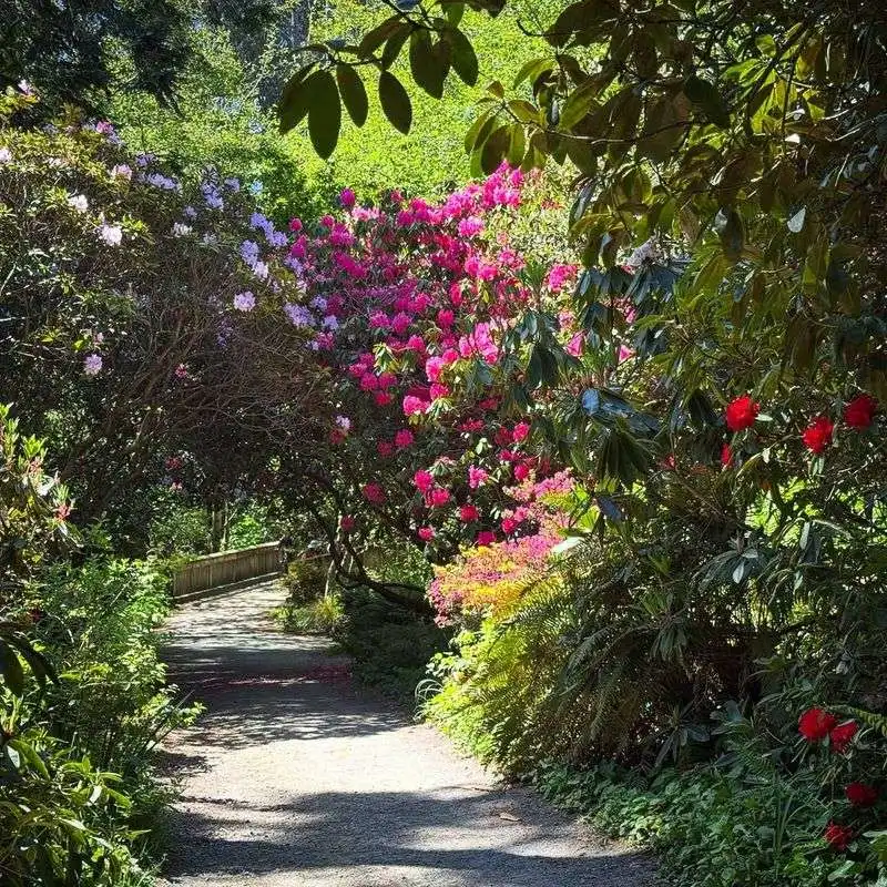 Mendocino Coast Botanical Gardens