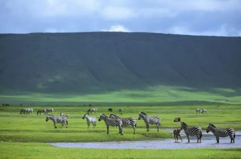 Ngorongoro Crater, Tanzania