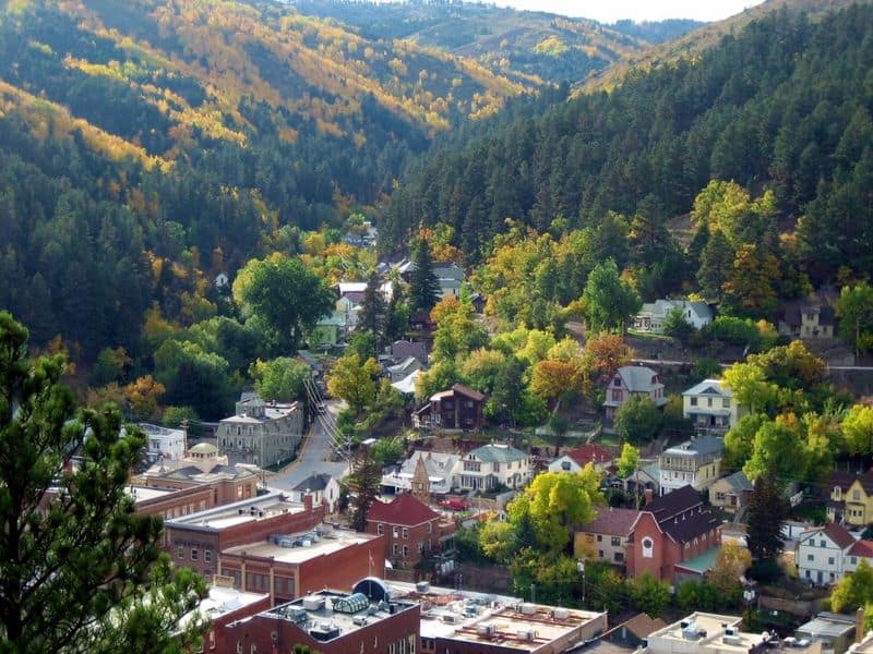 Deadwood