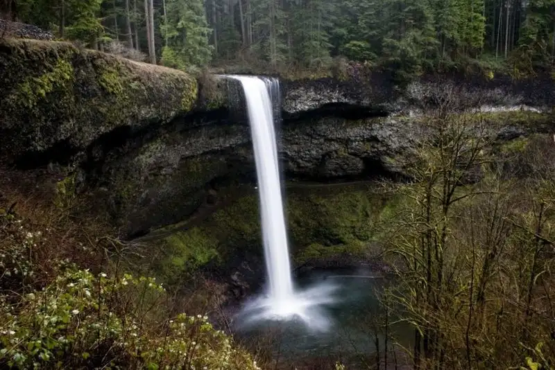 Silver Falls State Park, Oregon