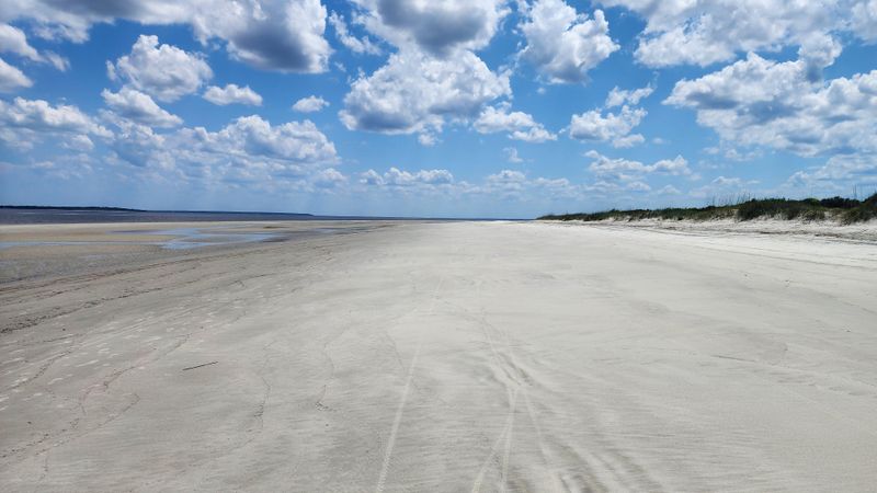 Nanny Goat Beach, Sapelo Island