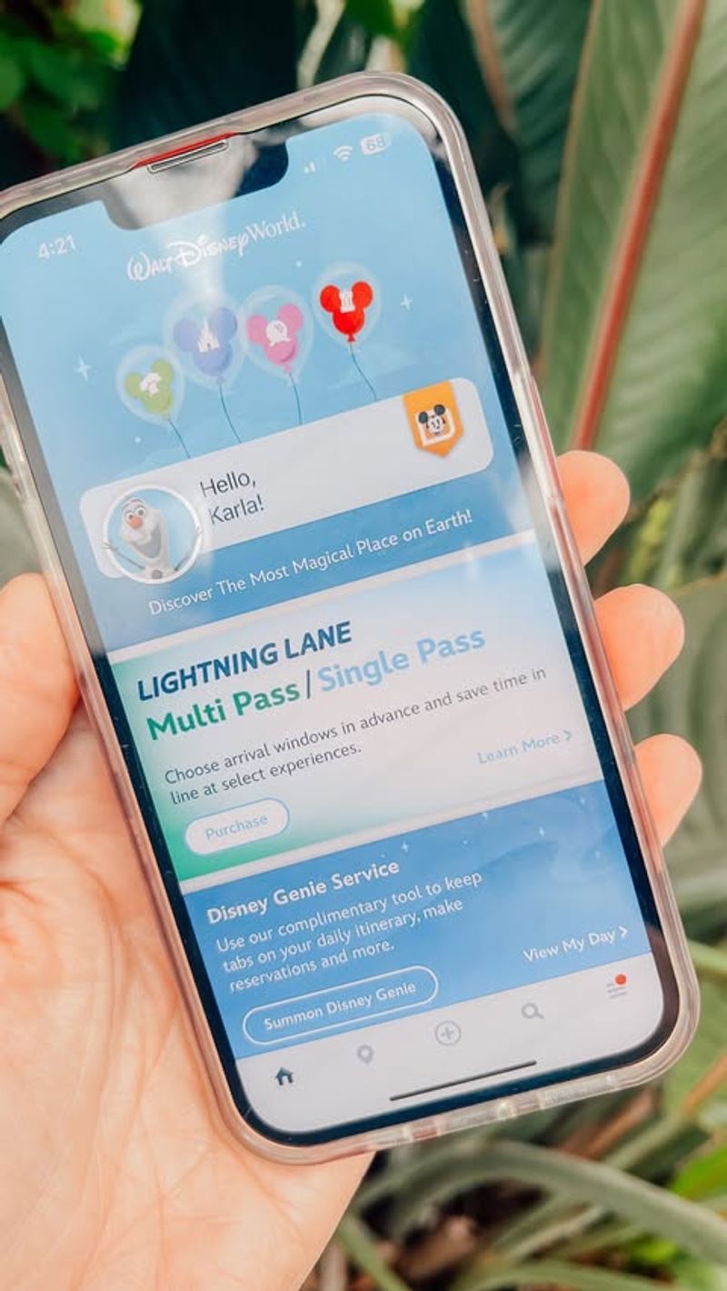 Use the Disney App Wisely